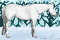 Horse Color:Black Frame 