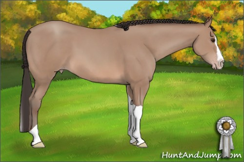 Horse Color: Classic Champagne Splash Tobiano 