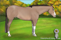 Horse Color:Classic Champagne Splash Tobiano 