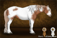 Horse Color:Liver Chestnut Splash Tobiano Frame