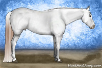 Horse Color:Liver Chestnut Tobiano Frame Appaloosa 
