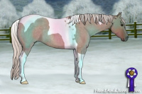 Horse Color:Silver Grullo Roan Tobiano 