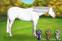 Horse Color:Gray Silver Classic Champagne Tobiano Leopard Rabicano 