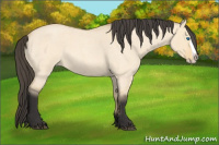 Horse Color:Buckskin Roan Dun Splash 