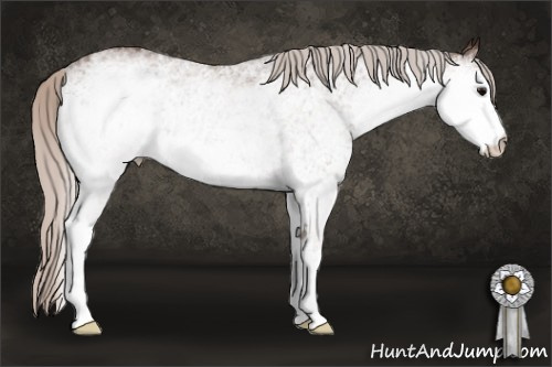 Horse Color: White Spotted Silver Brown 