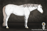 Horse Color:White Spotted Silver Brown