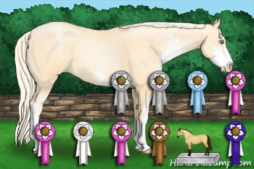 Horse Color: Palomino Pearl Sabino 