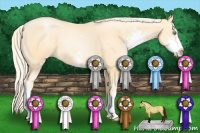 Horse Color:Palomino Pearl Sabino 