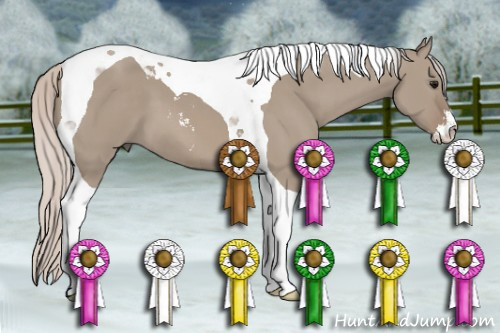 Horse Color: Silver Grullo Sabino Tobiano 