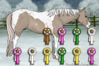 Horse Color:Silver Grullo Sabino Tobiano