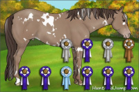 Horse Color:White Spotted Classic Champagne