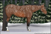 Horse Color:Bay Ice 