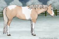 Horse Color:Silver Grullo Pearl Splash Tobiano