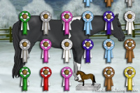 Horse Color:Brown Tobiano Rabicano