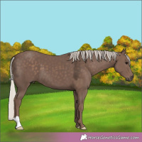 Horse Color:Silver Black 