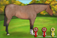Horse Color:Bay Roan 
