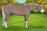 Horse Color:Silver Grullo Splash