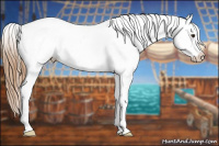 Horse Color:Red Dun Near Leopard 
