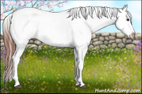 Horse Color:Brown Roan Dun Appaloosa