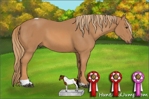 Horse Color:Chestnut Tobiano 