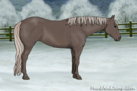 Horse Color:Silver Black Sabino 