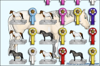 Horse Color:Silver Smoky Grullo Pearl Tobiano