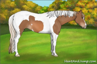 Horse Color:Chestnut Tobiano 