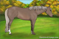 Horse Color:Silver Black Sabino