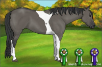Horse Color:Grullo Tobiano 