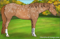 Horse Color:Chestnut Ice 