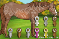 Horse Color:Chestnut Ice Splash 