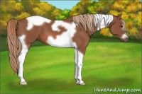 Horse Color:Chestnut Tobiano Frame 