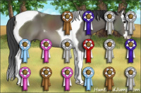 Horse Color:Black Sabino Splash Tobiano