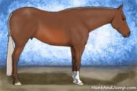 Horse Color:Silver Bay 