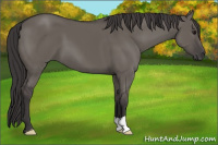 Horse Color:Smoky Grullo 