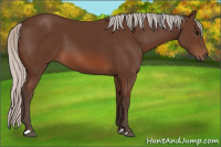 Horse Color:Silver Brown 