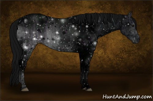 Horse Color: ERROR: UNKNOWN ANOMALY
