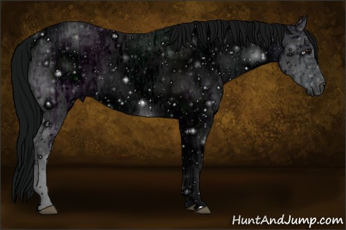 Horse Color: ERROR: UNKNOWN ANOMALY
