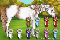 Horse Color:White Spotted Liver Chestnut Sabino