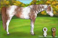 Horse Color:White Spotted Chestnut Sabino