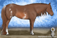 Horse Color:White Spotted Chestnut Sabino