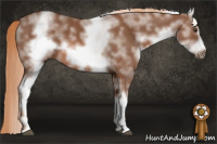 Horse Color:White Spotted Chestnut Sabino Frame 