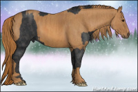 Horse Color:Black  Brindle