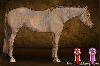 Horse Color:Blue Roan Brindle