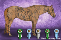 Horse Color:Black  Brindle