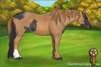Horse Color:Blue Roan Brindle