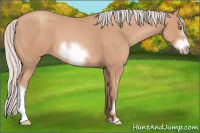 Horse Color:Silver Sable Champagne Frame 