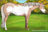Horse Color:Silver Amber Champagne Frame 