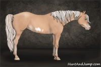 Horse Color:Silver Amber Champagne Frame 