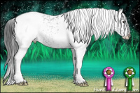 Horse Color:White Spotted Brown